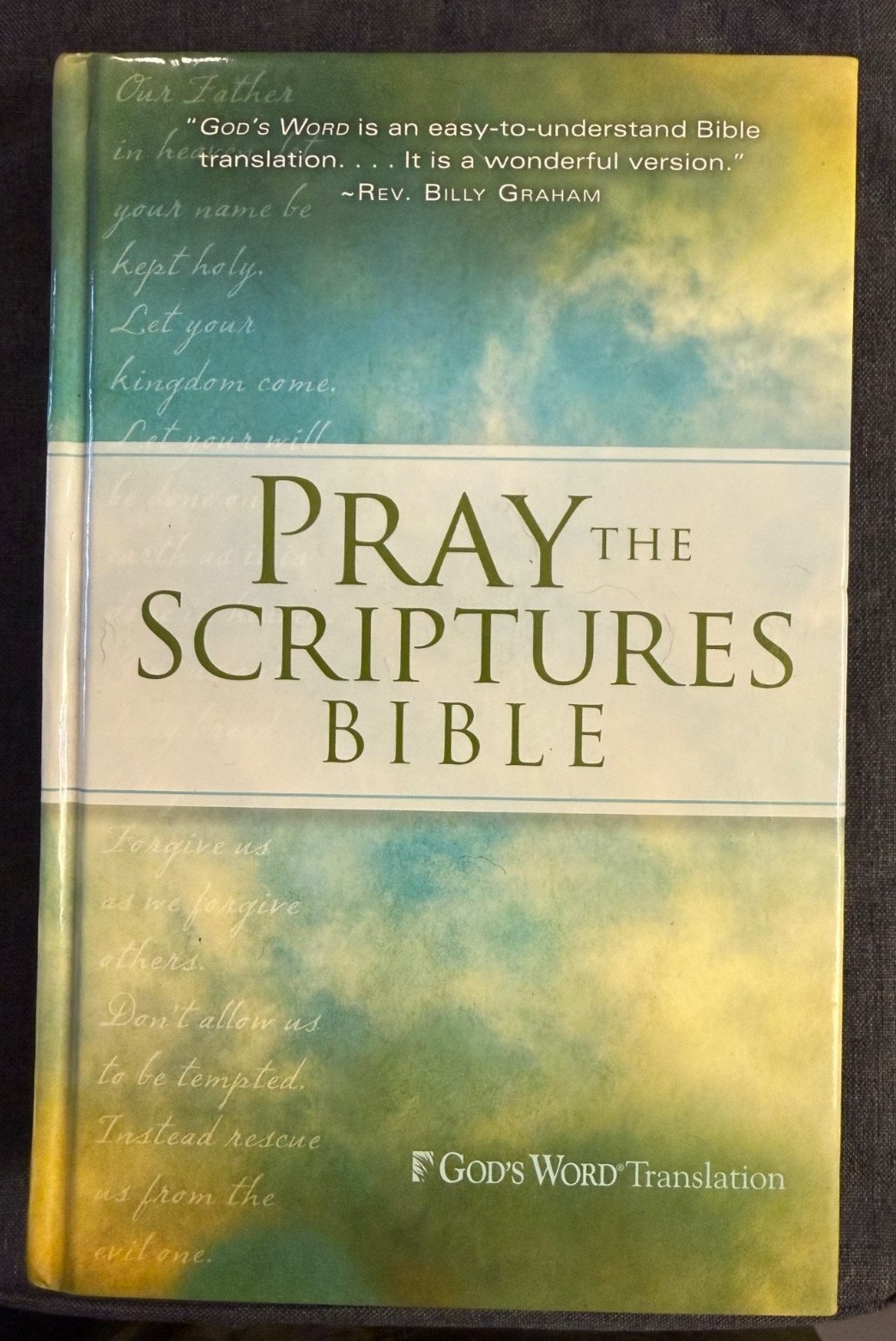 Pray The Scripture Bible, Like New - Read