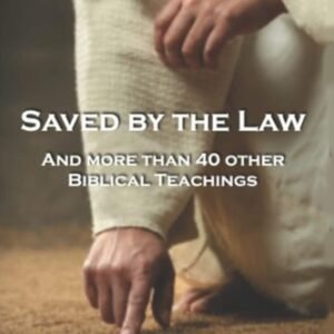 Saved By The Law: And More Than 40 other Biblical Teachings by Eric Tokajer