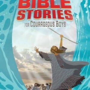 Bible Stories for Courageous Boys (padded cover) - Hardcover - VERY GOOD