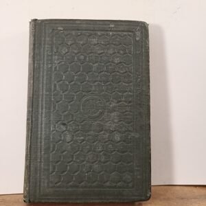 1856 The Young Man's Counsellor by Daniel Wise