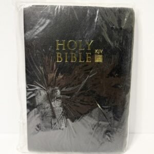 HOLY BIBLE KING JAMES VERSION Old & New Testaments BLACK Leatherette Bible [A41]