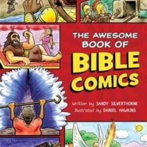 The Awesome Book of Bible Comics - Paperback By Silverthorne, Sandy - VERY GOOD