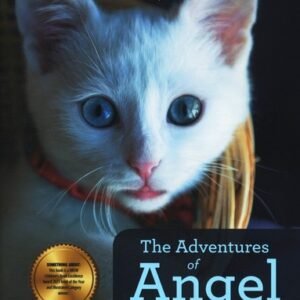 The Adventures of Angel: A Kitten's Story - PAPERBACK