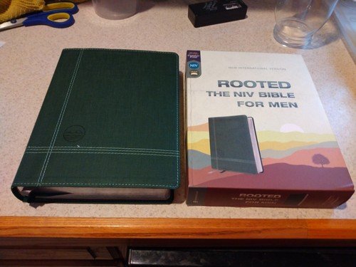 Rooted: The NIV Bible for Men, Leathersoft, Green, Comfort Print