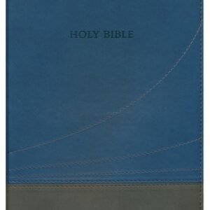 The Holy Bible King James Version KJV Thinline Slate & Blue, Large Print