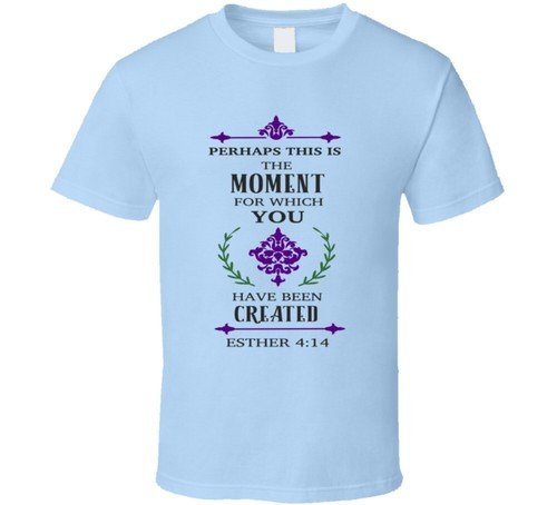 Perhaps This Is The Moment Tee Christian Faith T-Shirt Religious Unisex TShirt
