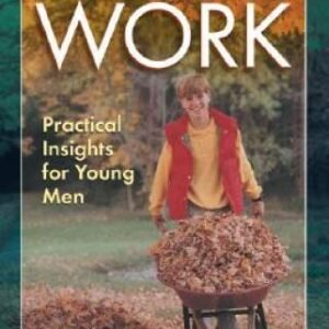 Created for Work: Practical Insights for Young Men - Paperback - VERY GOOD