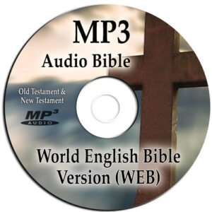 Christmas Gift  - Five Minute Devotions For Men - Religious - Brown Faux Leather