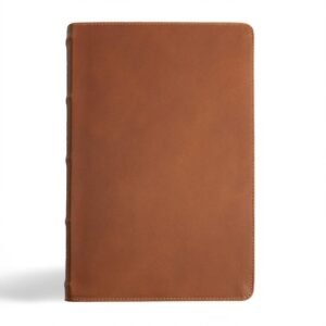 CSB Men's Daily Bible, Brown Genuine Leather, Black Letter, Easy-to-Read Bible S
