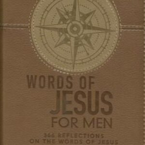 Words of Jesus for Men: 366 Reflections on the Words of Jesus by Botha, Riekert